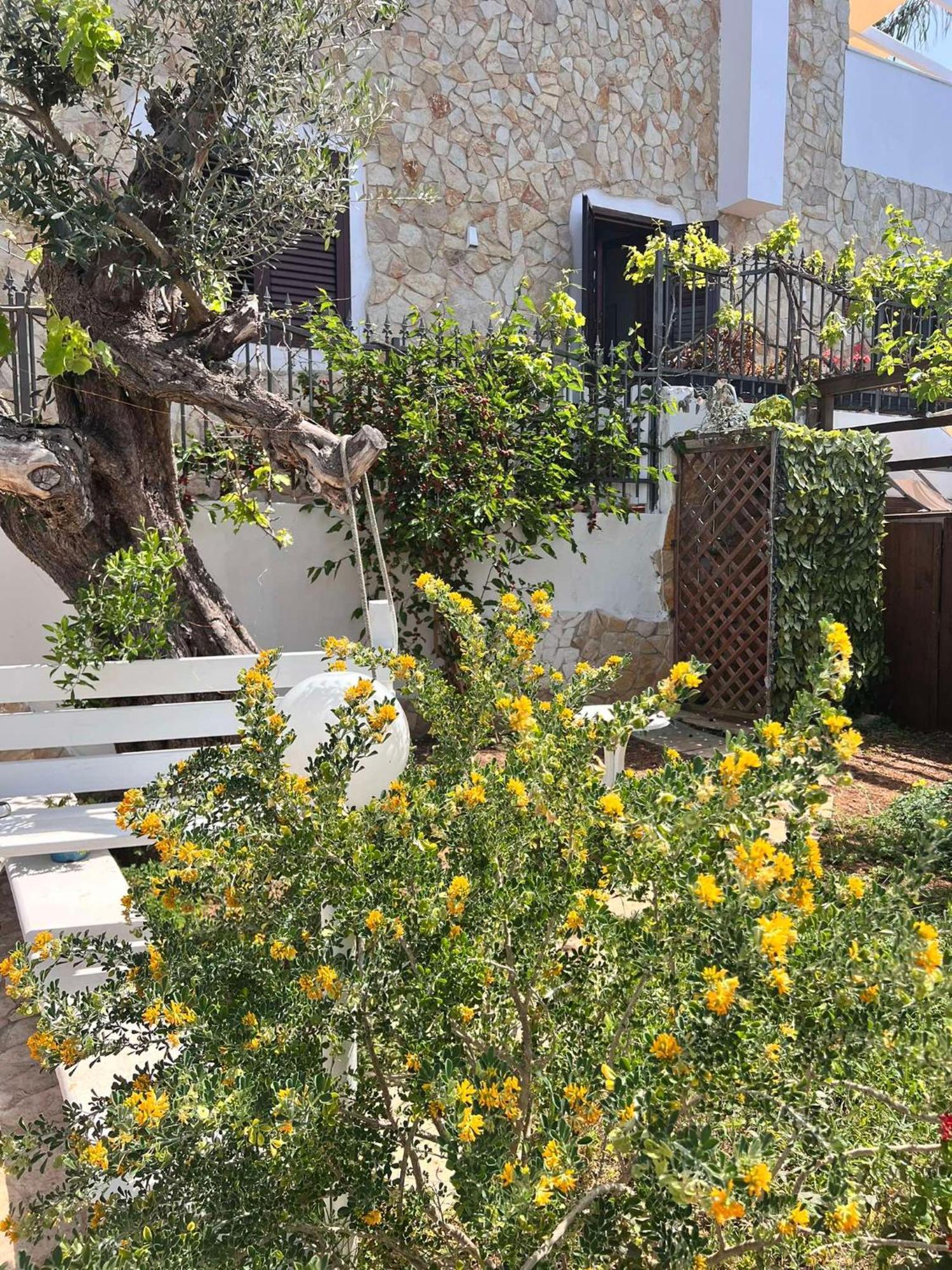 Casa Vacanze Fiore Gallipoli Exterior foto